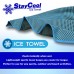 Stay Cool Ice Towel