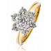 Modern Flower Round Diamond Cluster Ring