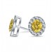 Fancy Yellow Oval Diamond Halo Earrings
