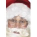 Wire Framed Santa Specs