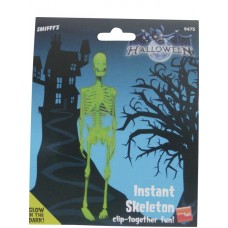 Glow In The Dark Skeleton Kit