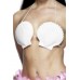 Hawaiian Seashell Bra Hawaiian Seashell Bra