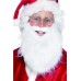 Santa Beard