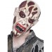 Rotten Zombie Mask