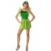 Woodland Fairy Costume  