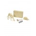 Dinosaur Excavation Kit, Stegosaurus