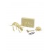 Dinosaur Excavation Kit, Triceratops
