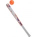 Baseball Bat And Ball