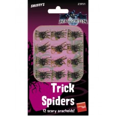 Spiders