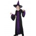 Bewitched Costume, Black And Purple