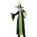 Bewitched Costume, Black And Green Bewitched Costume, Black And Green