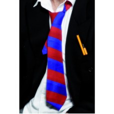School Tie Red And Blue