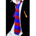 School Tie Red And Blue