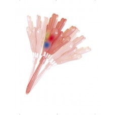 Hand Clappers