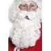 Santa Wig