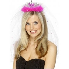 Bride To Be Tiara And Veil