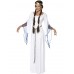 Medieval Maid Costume