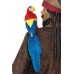 Parrot 20 Inches