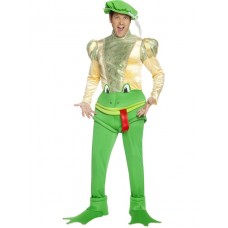 Kiss The Frog Find The Prince Costume