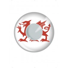 Welsh Dragon