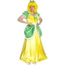 Ugly Sisters Costume