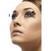 Eyelashes With Corner Plumes