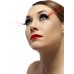 Eyelashes With Long Plumes