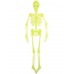 Skeleton Hanging Decoration