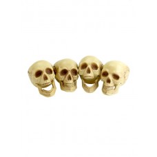 Skull Heads, 4 Pieces