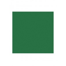 Green Party Napkins