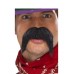 Big And Bushy Gringo Tash