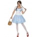 Dorothy Costume
