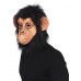 Chimp Mask Chimp Mask