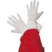 Santa Gloves Santa Gloves