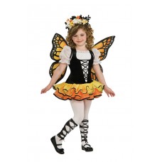 Monarch Butterfly 