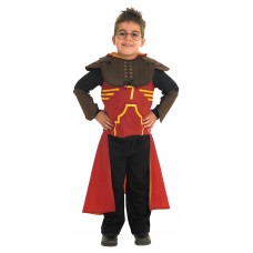 Harry Potter Dlx Quidditch Robe                                