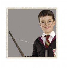Harry Potter™ Blister Kit