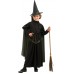 The Wizard Of Oz™ - Wicked Witch™                          