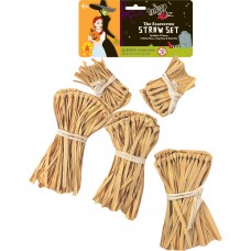Scarecrow™ Straw Kit                                         
