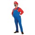 Dlx. Adult Mario™                                            