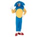 Sonic The Hedge Hog                                            