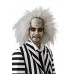 Beetlejuice™ Wig                                             