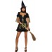 Wicked Witch Of The West™                                    