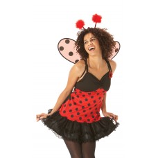 Lady Bird Dress                                                