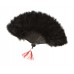 Burlesque Feather Fan                                          