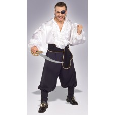 Swashbuckler                                                   