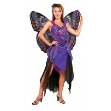 Purple Butterfly                                               