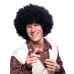Afro Wig                                                       