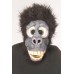 Ballerina Gorilla  Std                                         