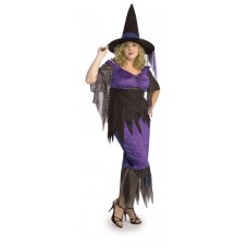 Mystical Witch             Plus Size                           